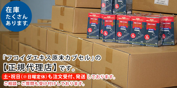 フコイダンエキス原末【特価で販売中!】