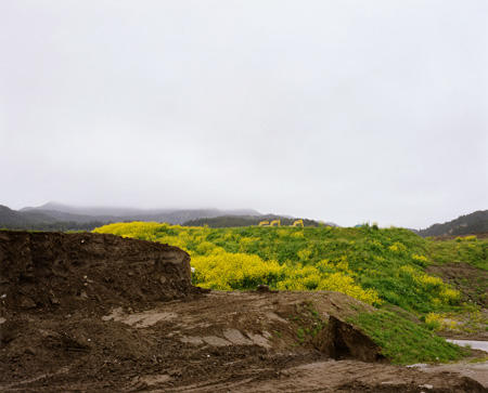 畠山直哉／Hatakeyama Naoya | コレクション | 森美術館 - MORI ART MUSEUM
