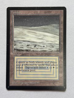 デュアルランド/Dual Land - MTG専門店 Initiative