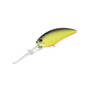 589_1.jpg?20181227162548