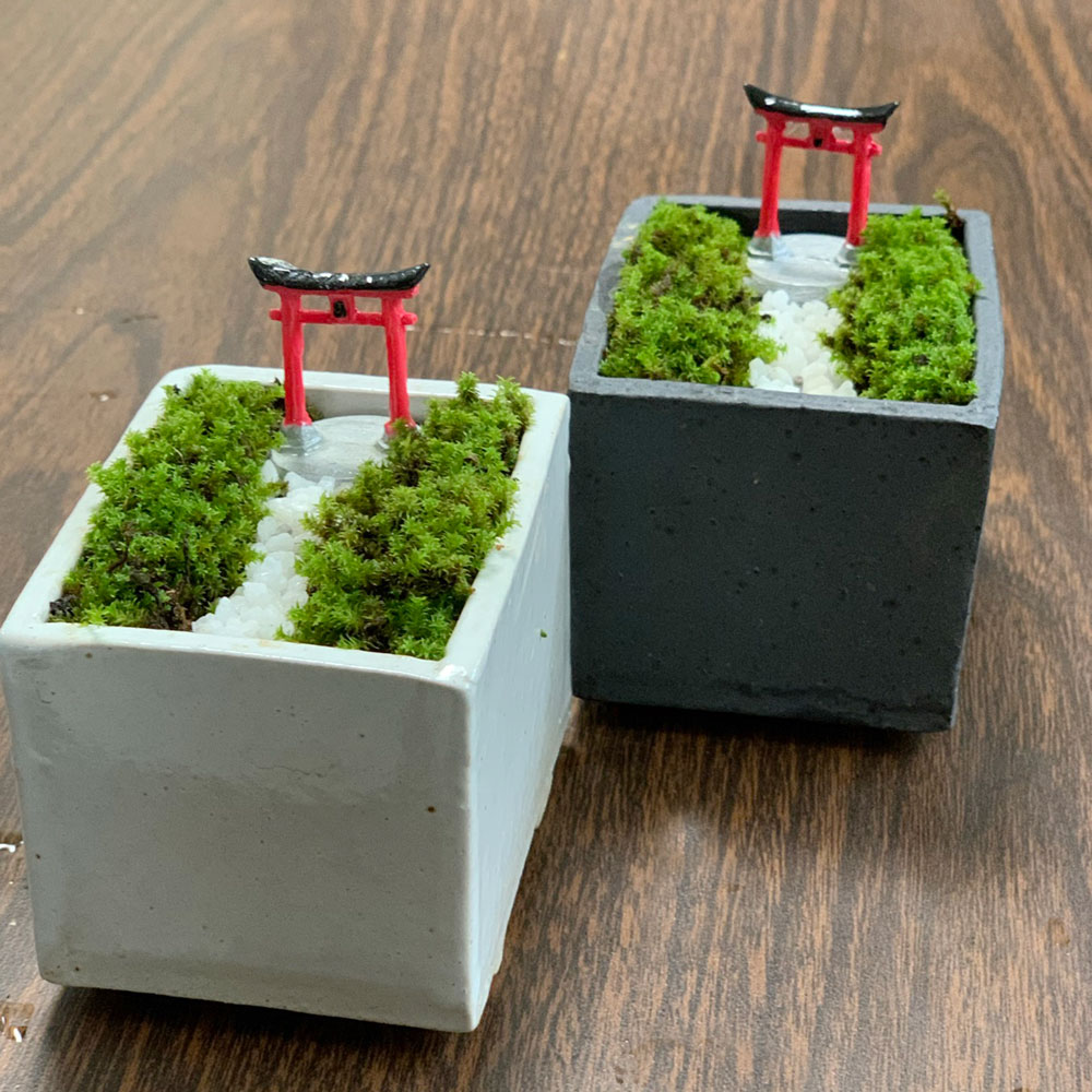 苔盆栽 【神域への入り口】万古焼創作角鉢 鳥居 神社 神様 苔盆栽 苔