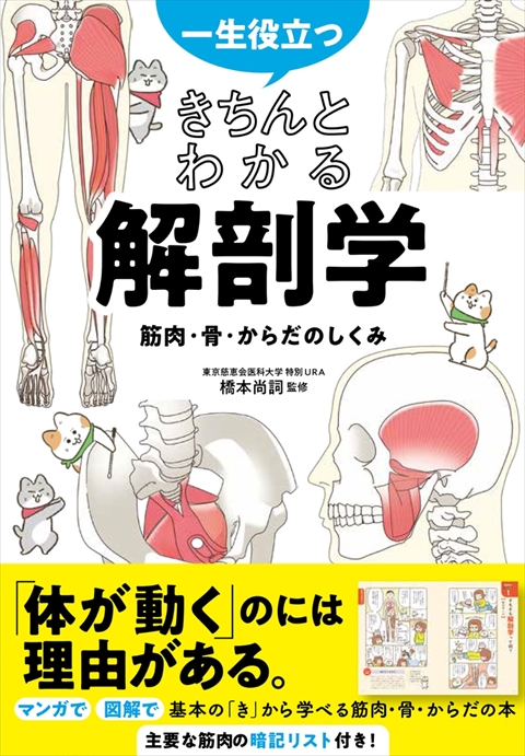 一生役立つ きちんとわかる解剖学 筋肉・骨・からだのしくみ｜西東社