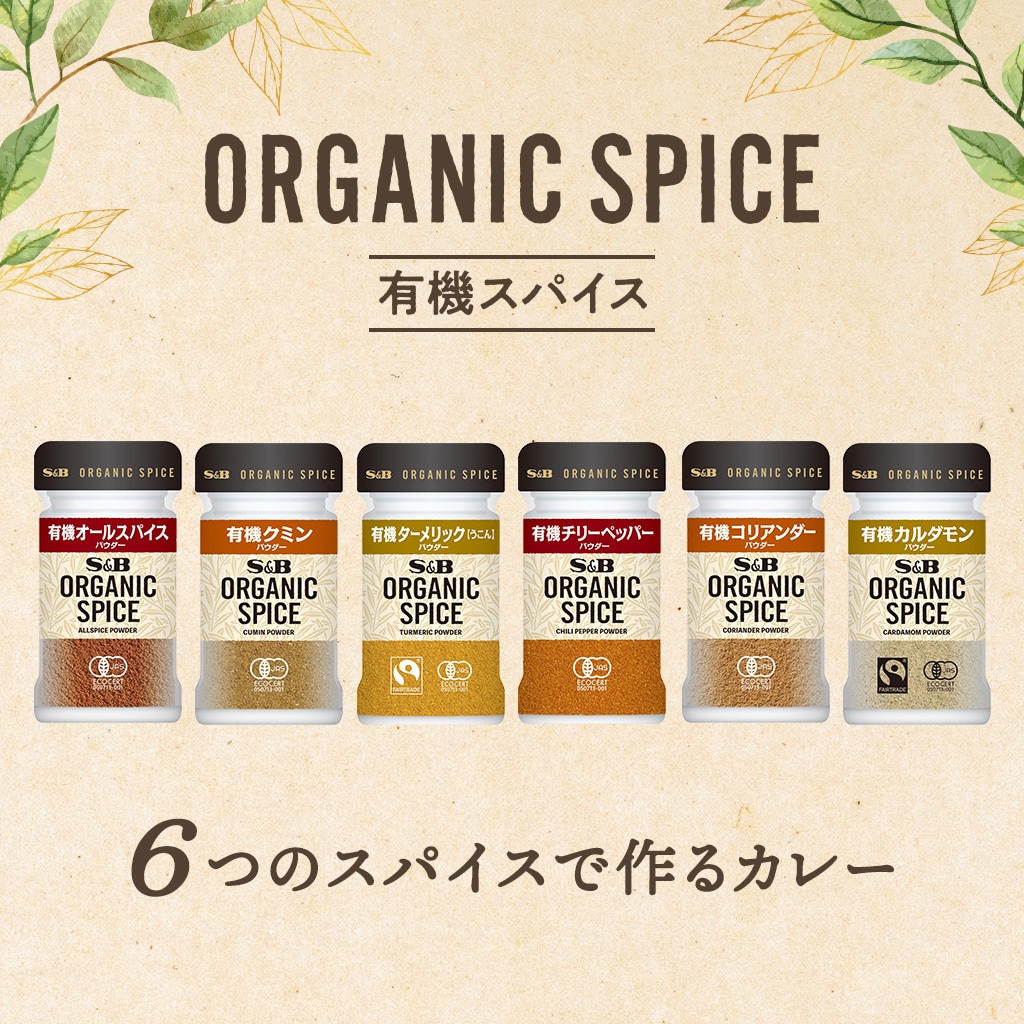 6つのスパイスで作る基本のカレースパイスセット: セット｜エスビー