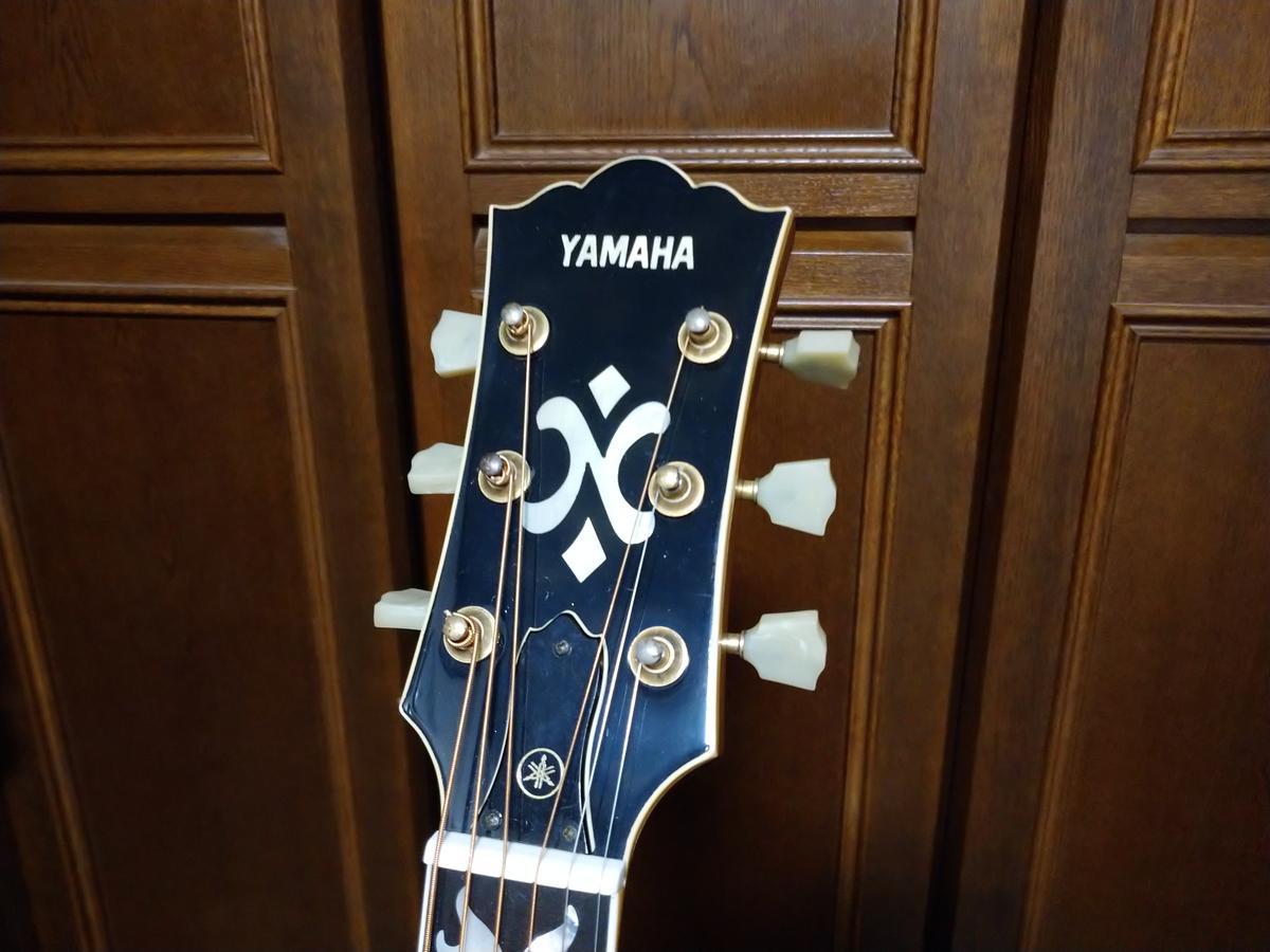 はじめてのヴィンテージギター、ヤマハ N-1000 - 富山市議会議員 し