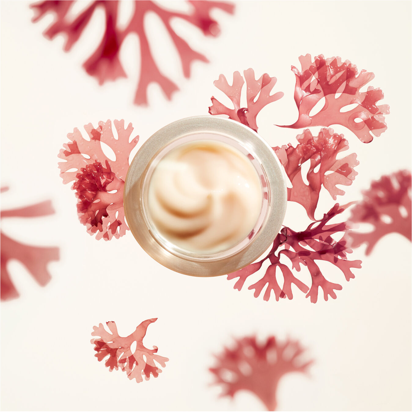 Benefiance Wrinkle Smoothing Cream | SHISEIDO