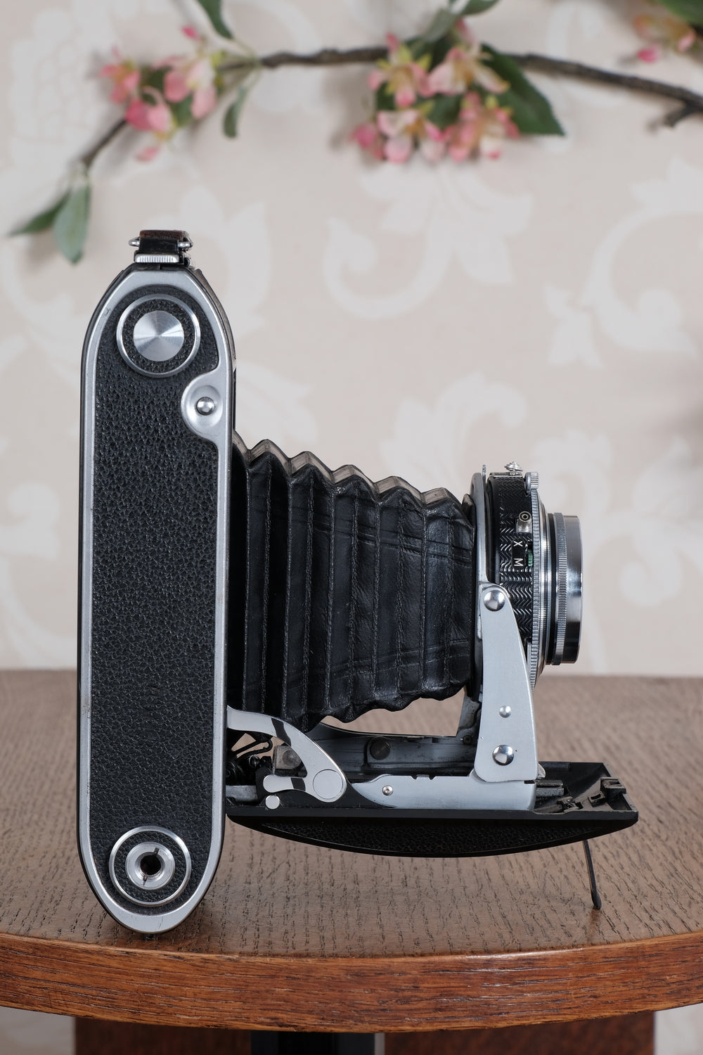 Superb! 1955 Voigtlander 6x9 Bessa II with Color-Skopar lens