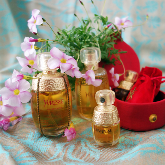 Yvresse / イヴレス 、Chanpagne / シャンパーニュ