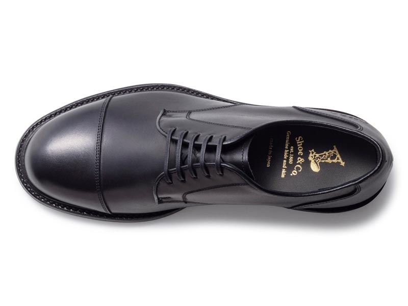 REGAL Shoe & Co. ストレートチップ GORE-TEX（819S） | 靴のリーガル