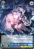 滲む瞳に、不死鳥 天馬司【ヴァイスシュヴァルツトレカお買得価格通販