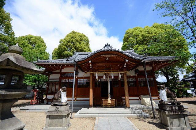 半年の厄を祓い、残り半年の無事を願う。「野見神社」の夏越しの大祓の