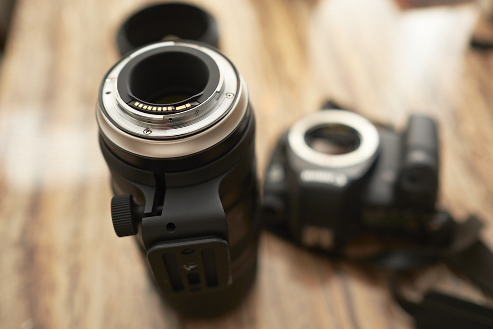 Review: Tamron SP 70-200mm F2.8 Di VC USD G2 (Canon EF)