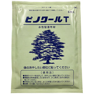 UCHIDASウチダスピノクール水性型湿布（6枚）×10: 日用品