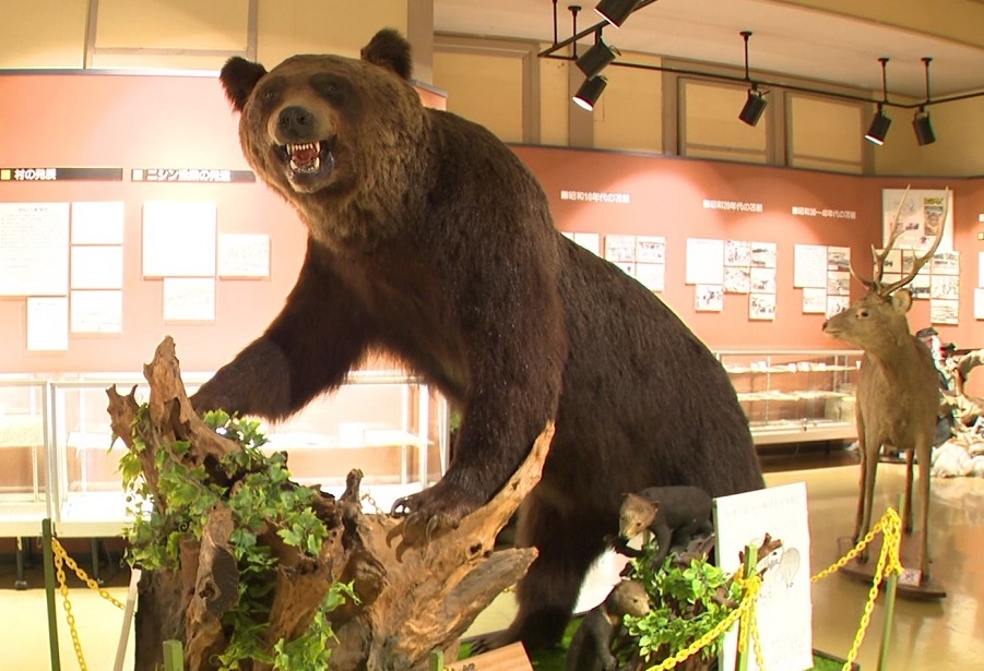 北海道ヒグマ烈伝】“推定400キロ”の巨大なクマが苫前町に出没―語り継が