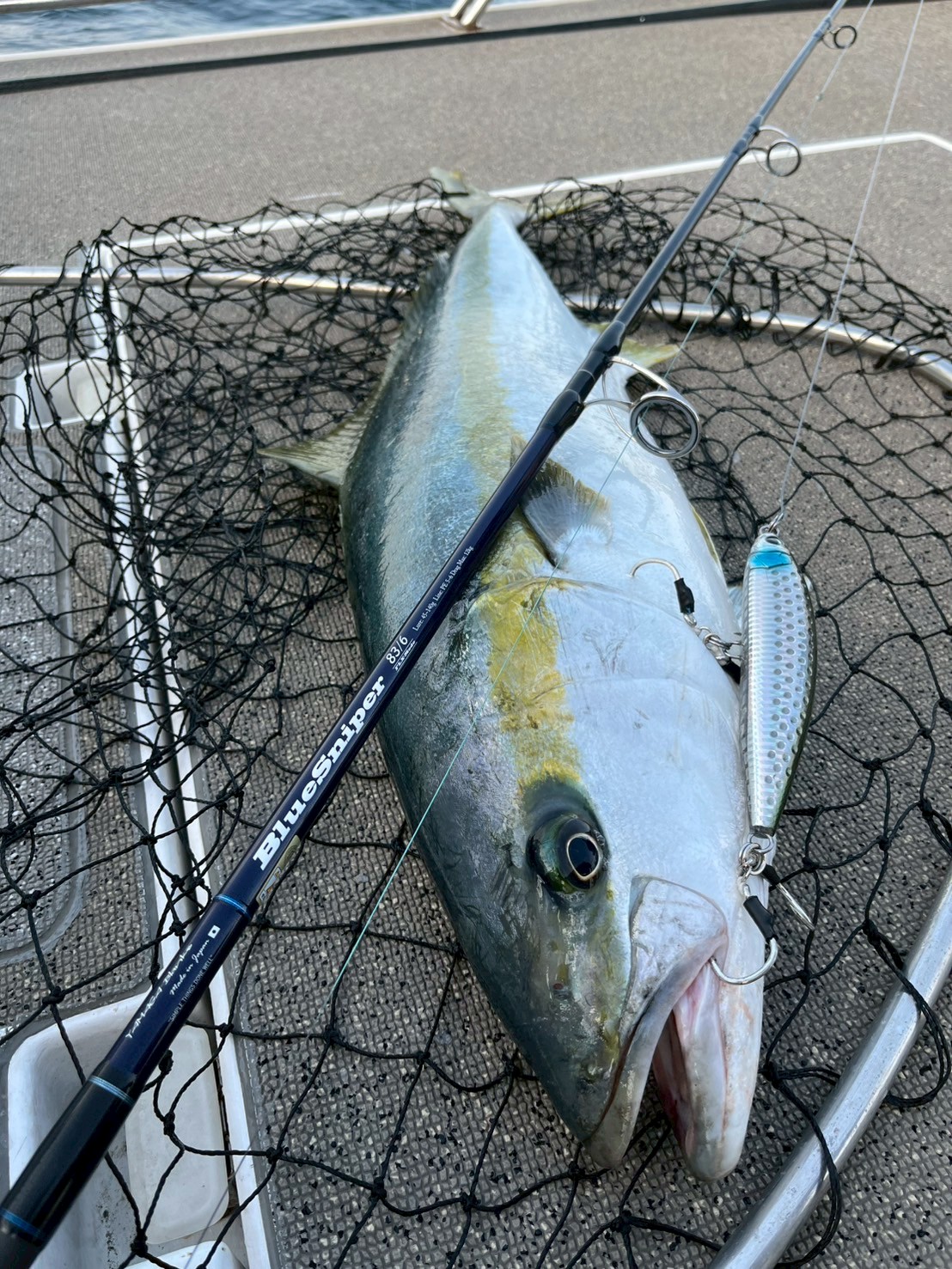 BlueSniper Boat「FLX」で狙う北部九州の春マサ｜2機種の使い分け実釣