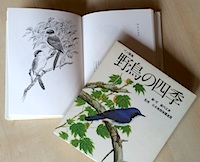 薮内正幸美術館_特集Webマガジン