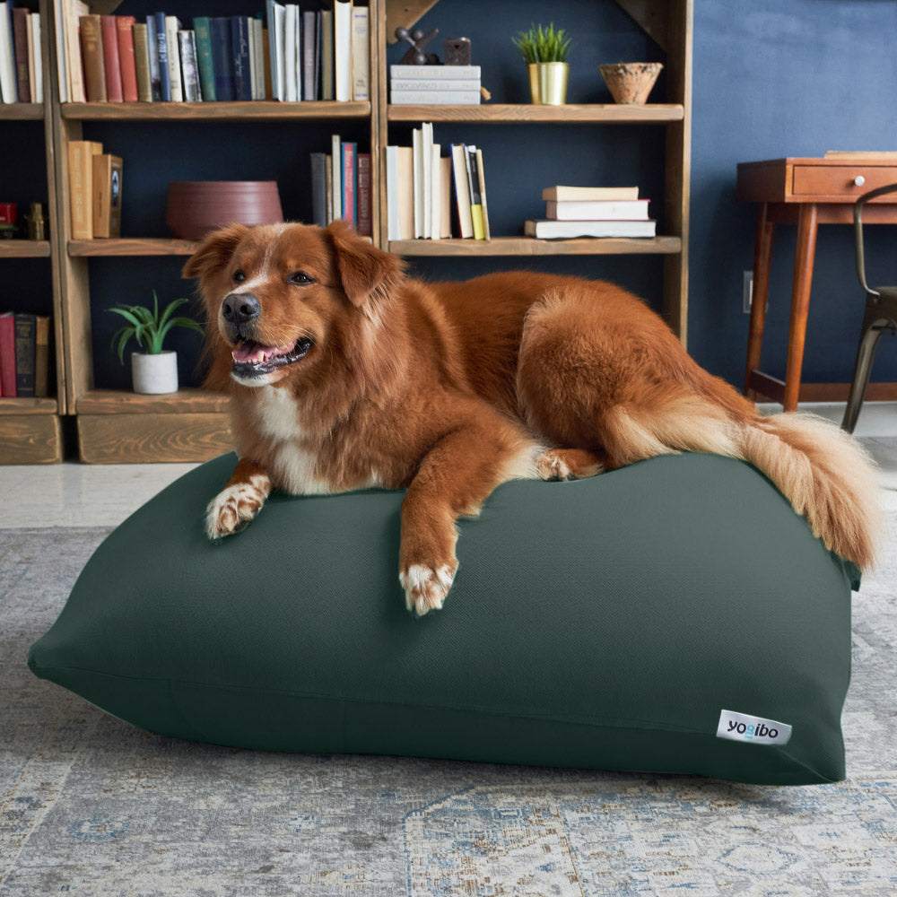 公式】Yogibo Zoola Mini（ヨギボー ズーラ ミニ） | Yogibo公式