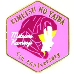 2026年最新】アニメ伍周年記念祭 キャラクターモチーフピンズの人気
