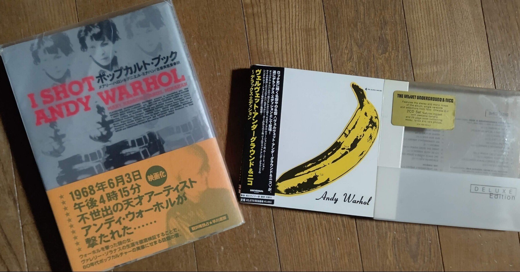 アンディ・ウォーホルを撃った女、「I SHOT ANDY WARHOL 」からの