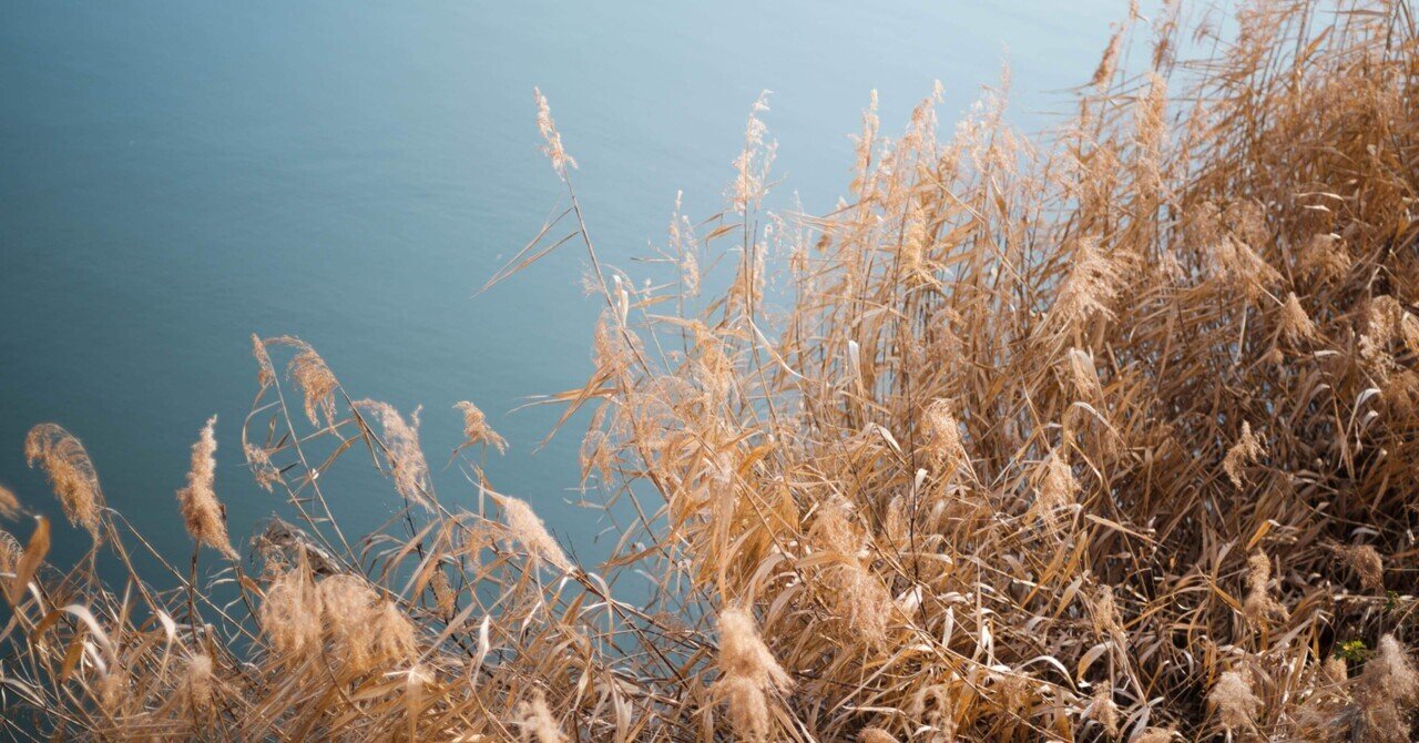 解体新書】古の中判レンズ