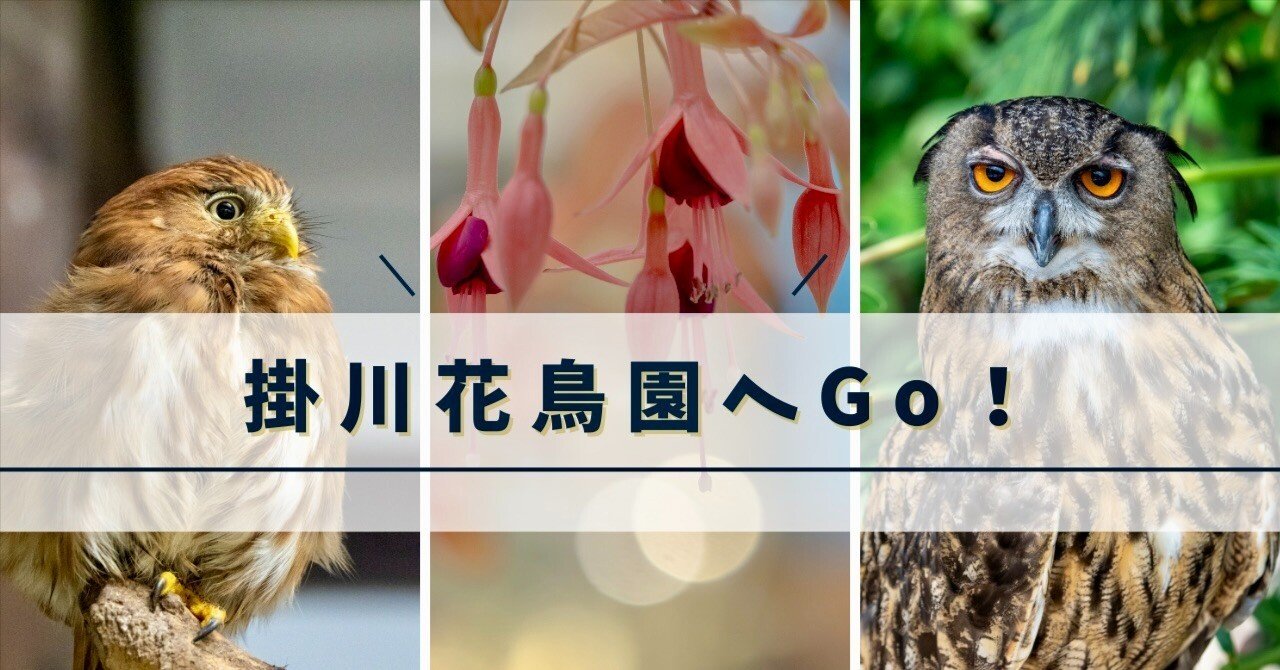掛川花鳥園へGo！カワイイ生きものたちとの楽しいひととき｜Bun bun