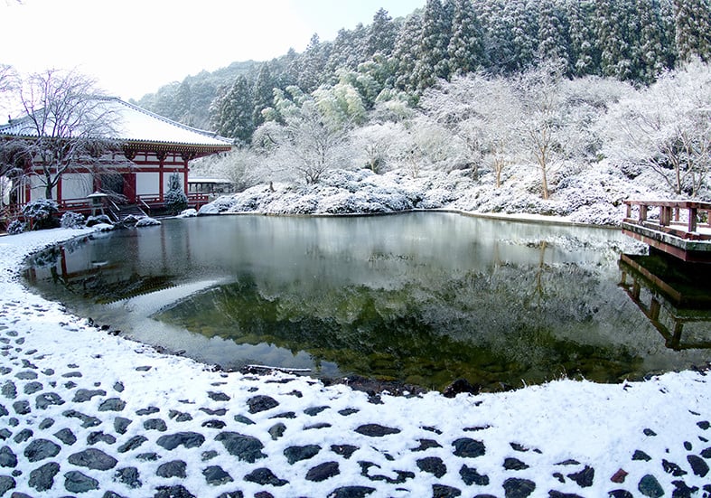 池田百景写真コンクール」入賞作品発表（第36回 IKEDA文化DAY）