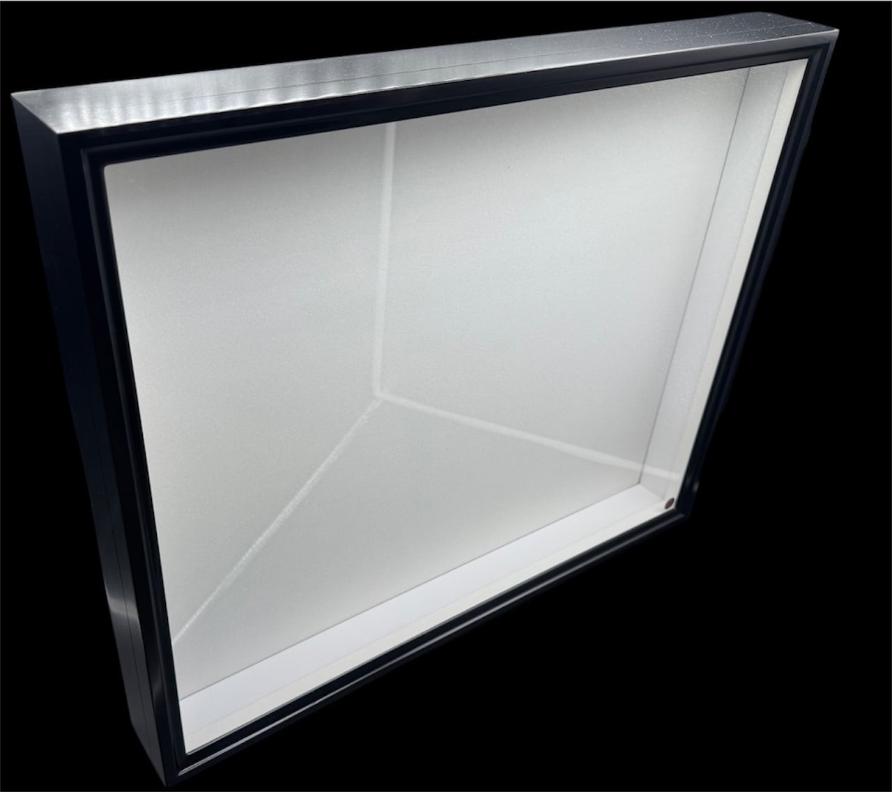 標本 | KPW公式オンラインショップ