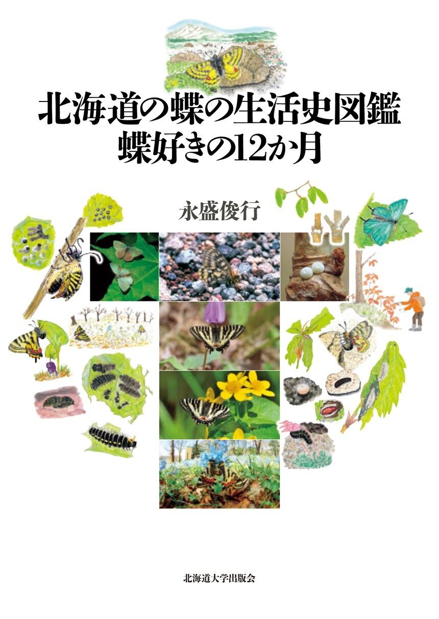 北海道の蝶の生活史図鑑 蝶好きの12か月 | 北海道大学出版会
