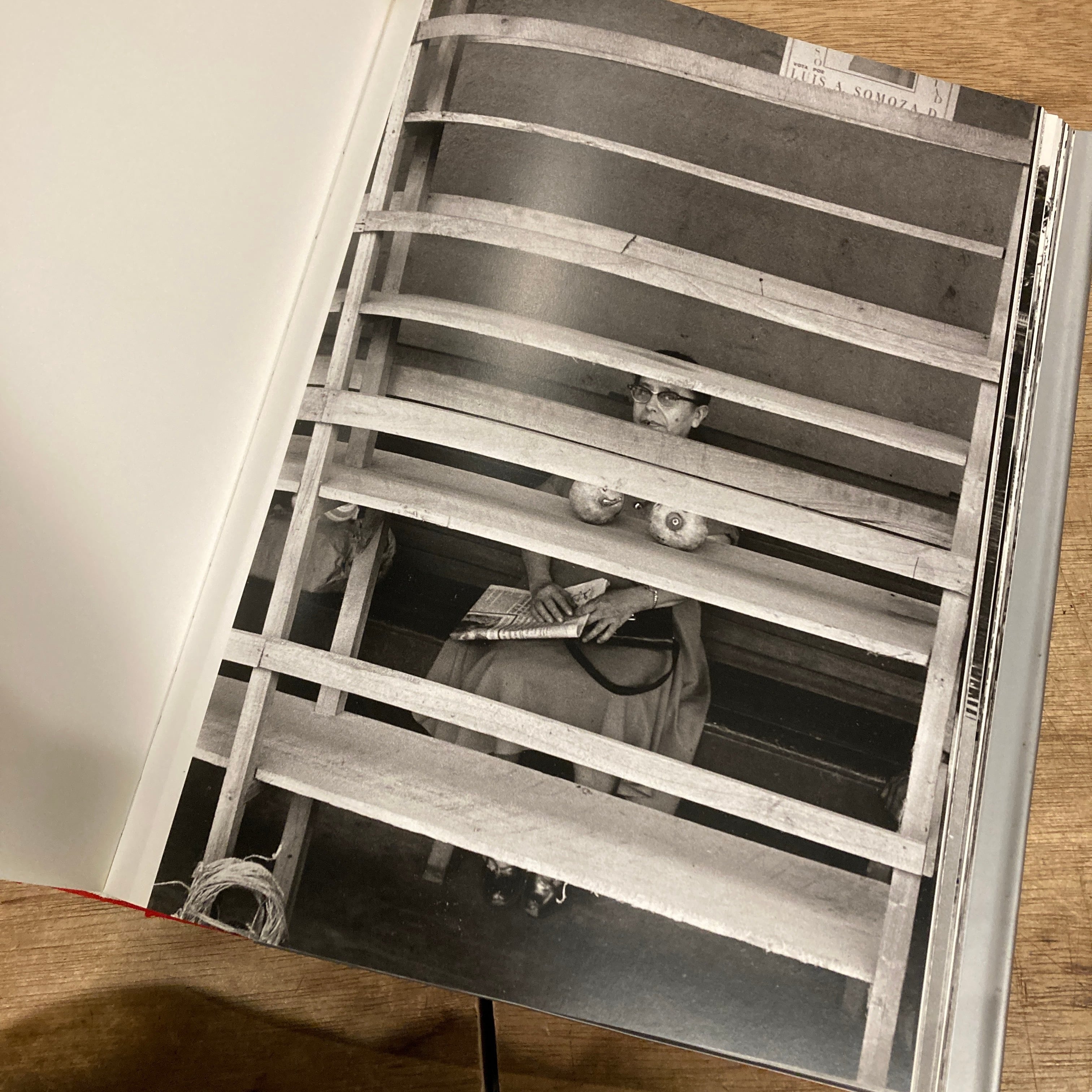 Elliott Erwitt: Personal Best / エリオット・アーウィット | 百年