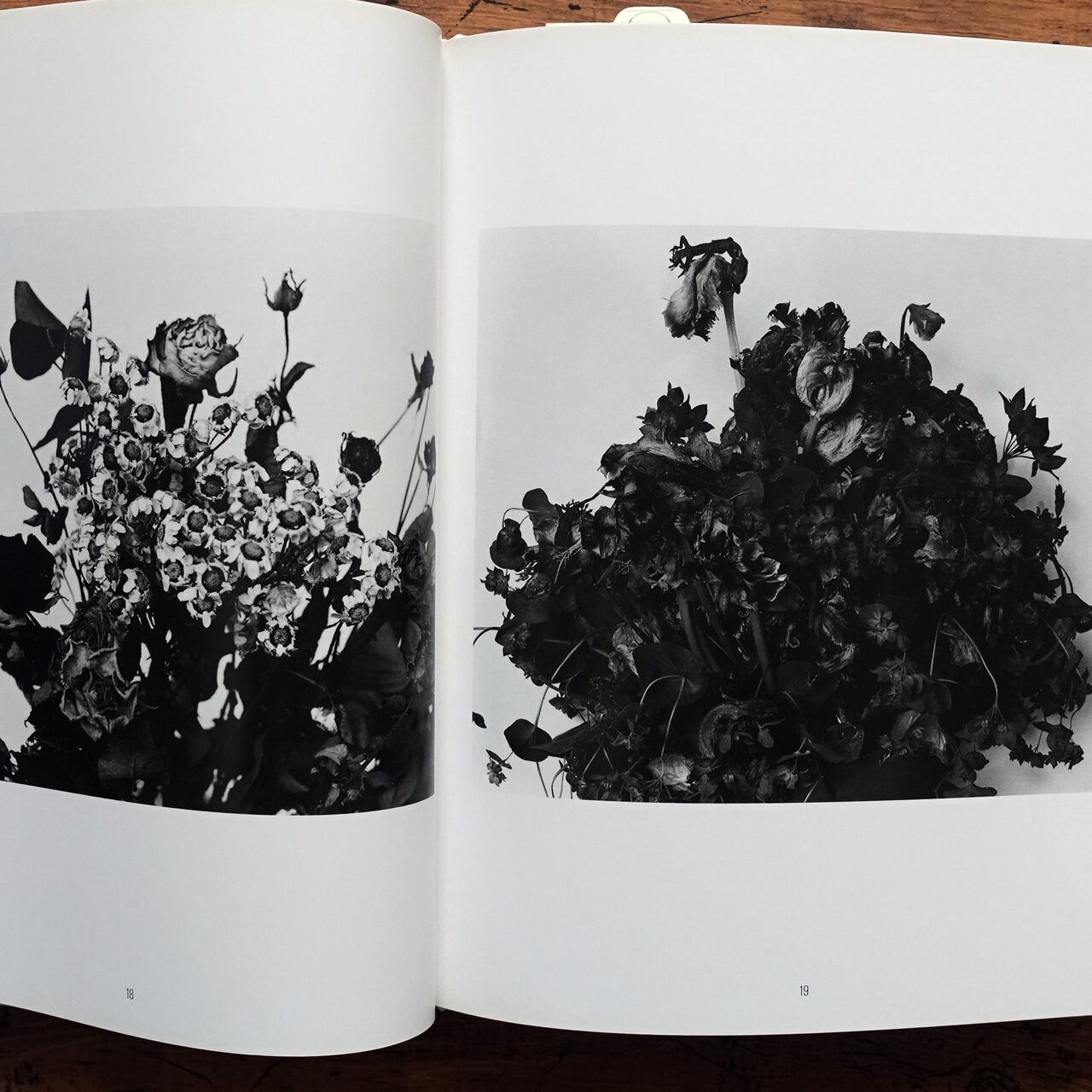 荒木経惟 花陰 | タイムカプセル