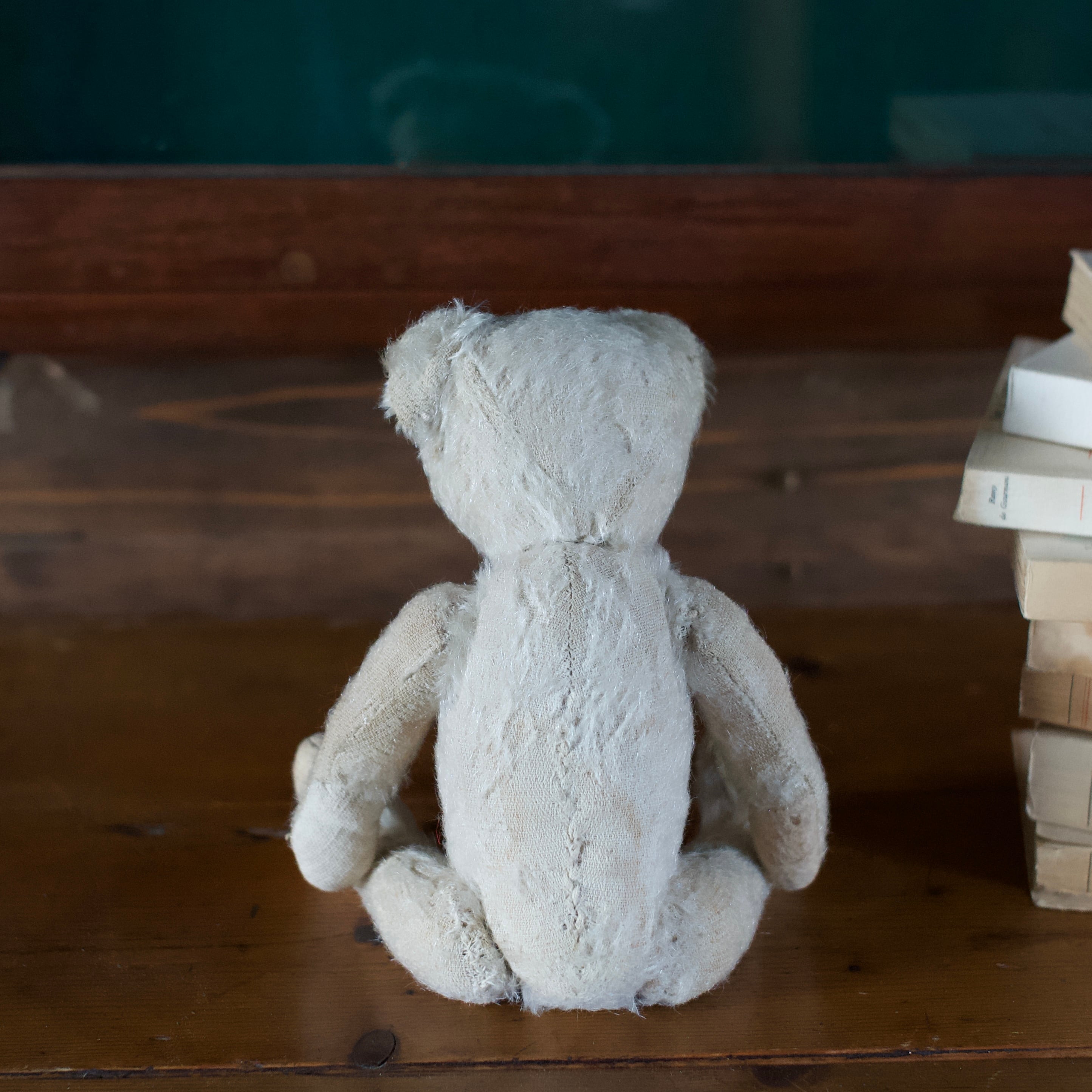 Teddy Bear / テディベア〈 ぬいぐるみ・くま・オブジェ・ディスプレイ