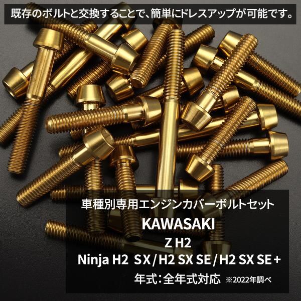 Z H2/Ninja H2 SX/H2 SX SE/H2 SX SE+ エンジンカバー クランクケース