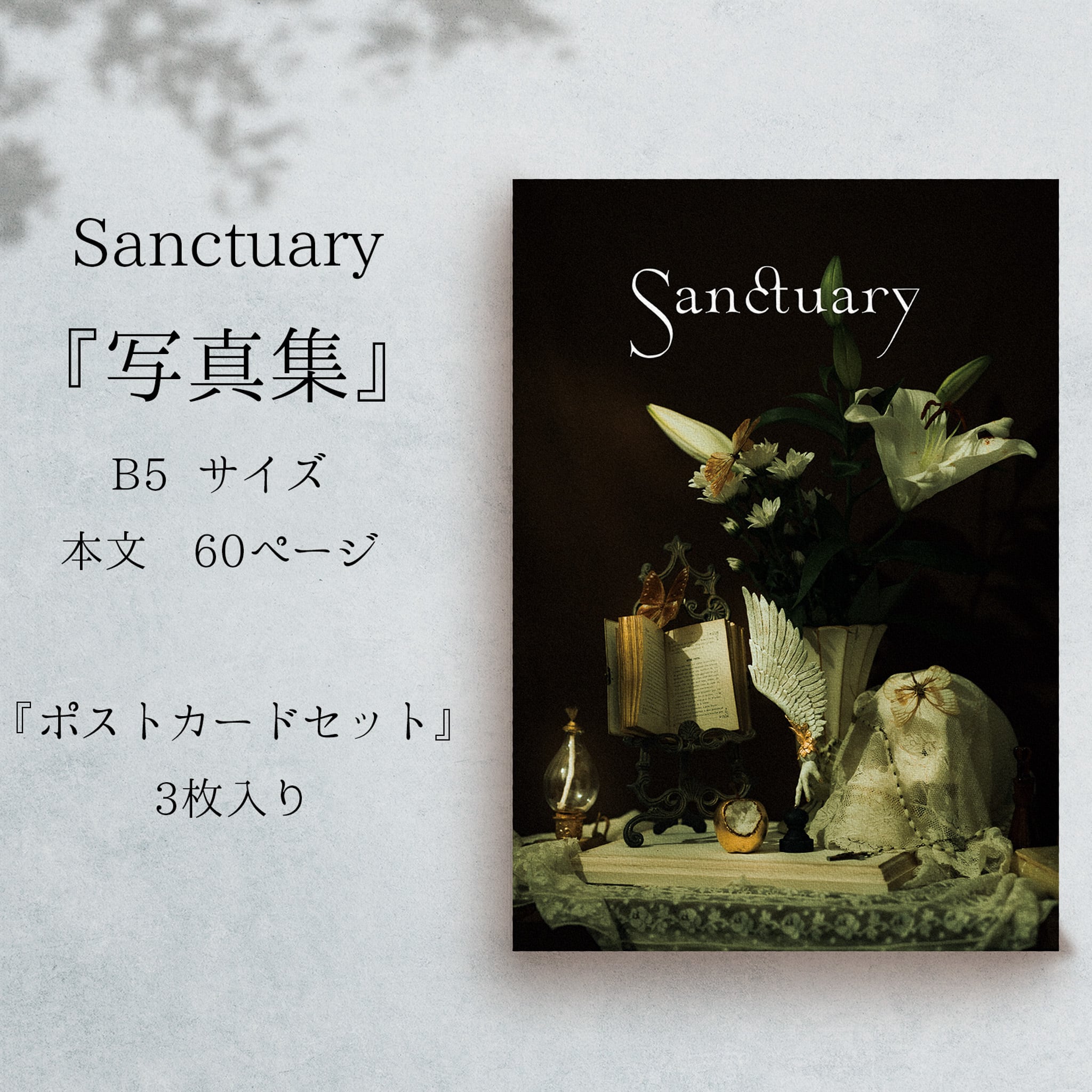 Sanctuary】 写真集・ポストカードセット | Okuda Doll Shop
