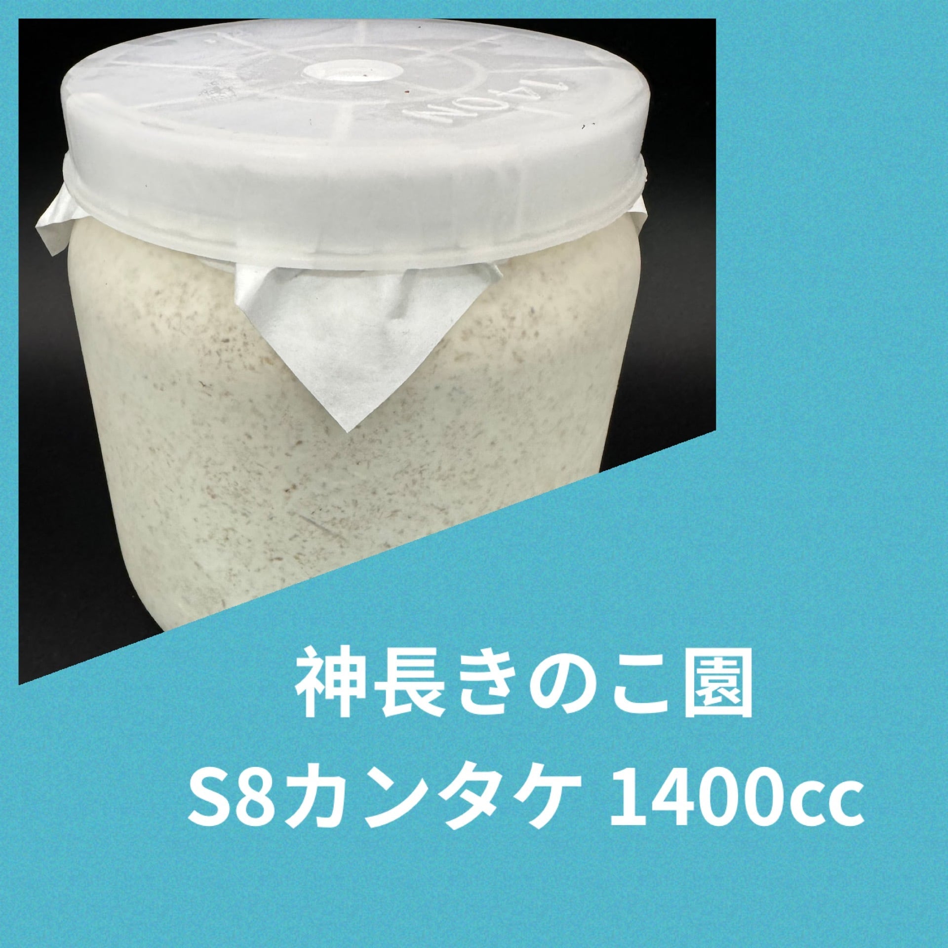 S8カンタケ 1400cc | KPW公式オンラインショップ