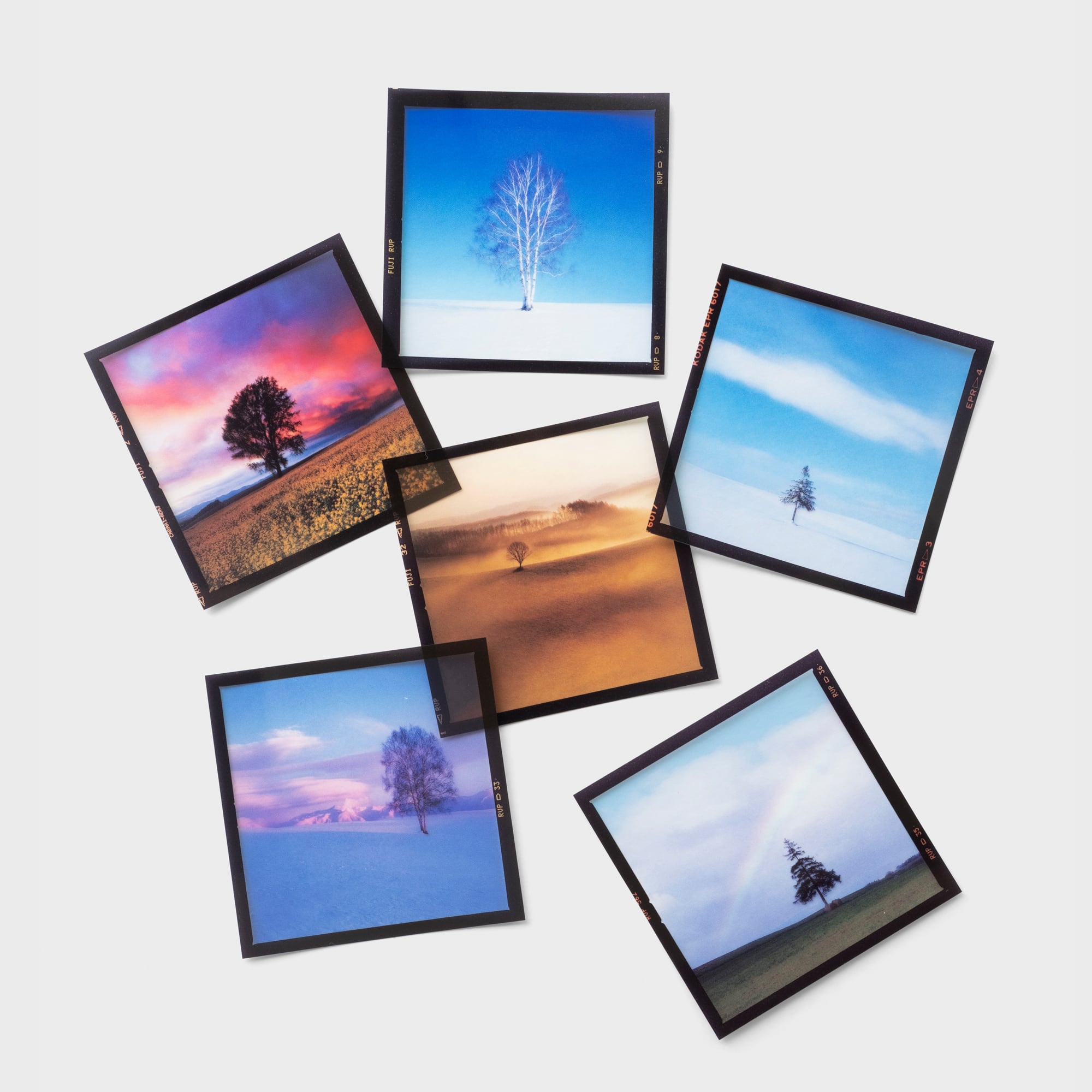 6×6フィルムステッカーD〈6枚セット〉 | 拓真館 TAKUSHINKAN