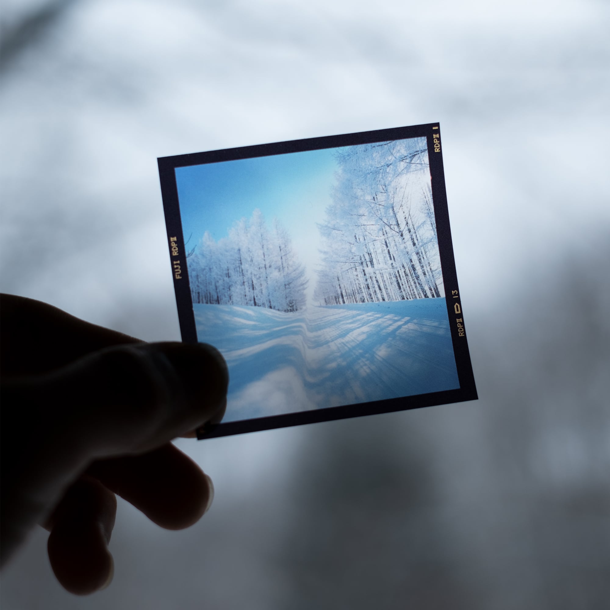 6×6フィルムステッカーC〈6枚セット〉 | 拓真館 TAKUSHINKAN