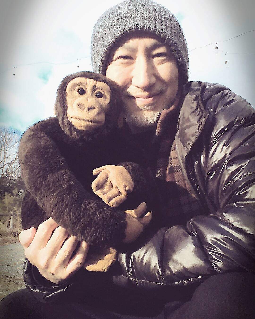 昭和レトロ】おれ、ゴリラ 明治チョコレート懸賞品【激レア