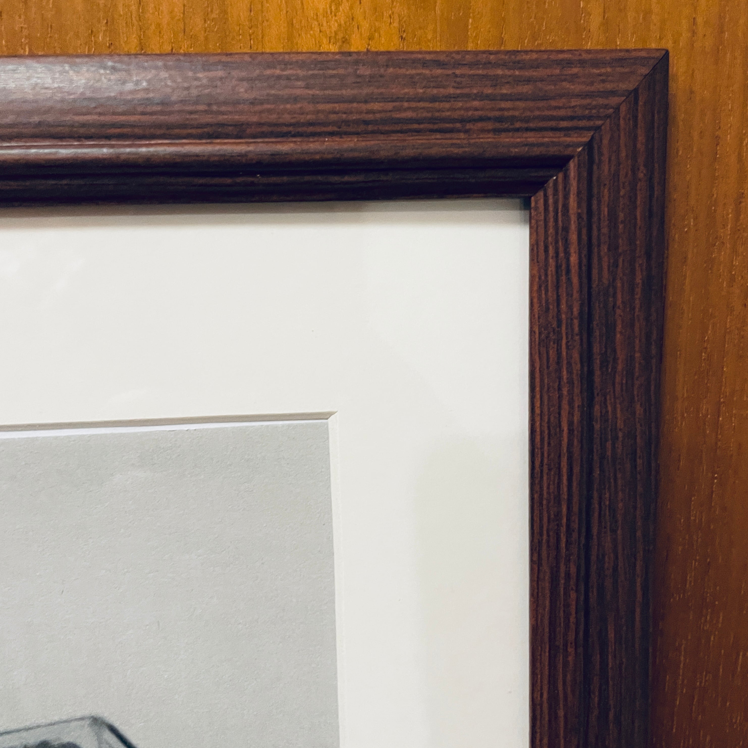 再入荷！【国内未入荷パリ限定】額装付き ココキャピタン希少最新