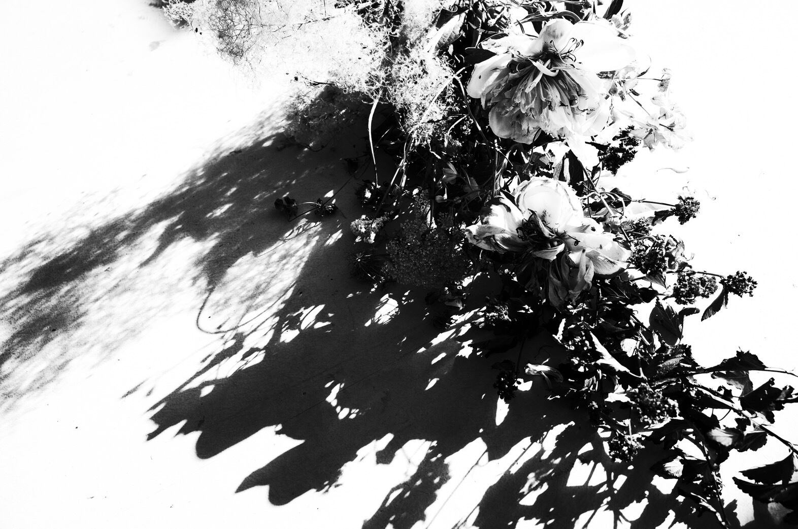 ワンオーナー】平子 雄一 / Lost in Thought 82 平子 雄一 Yuichi