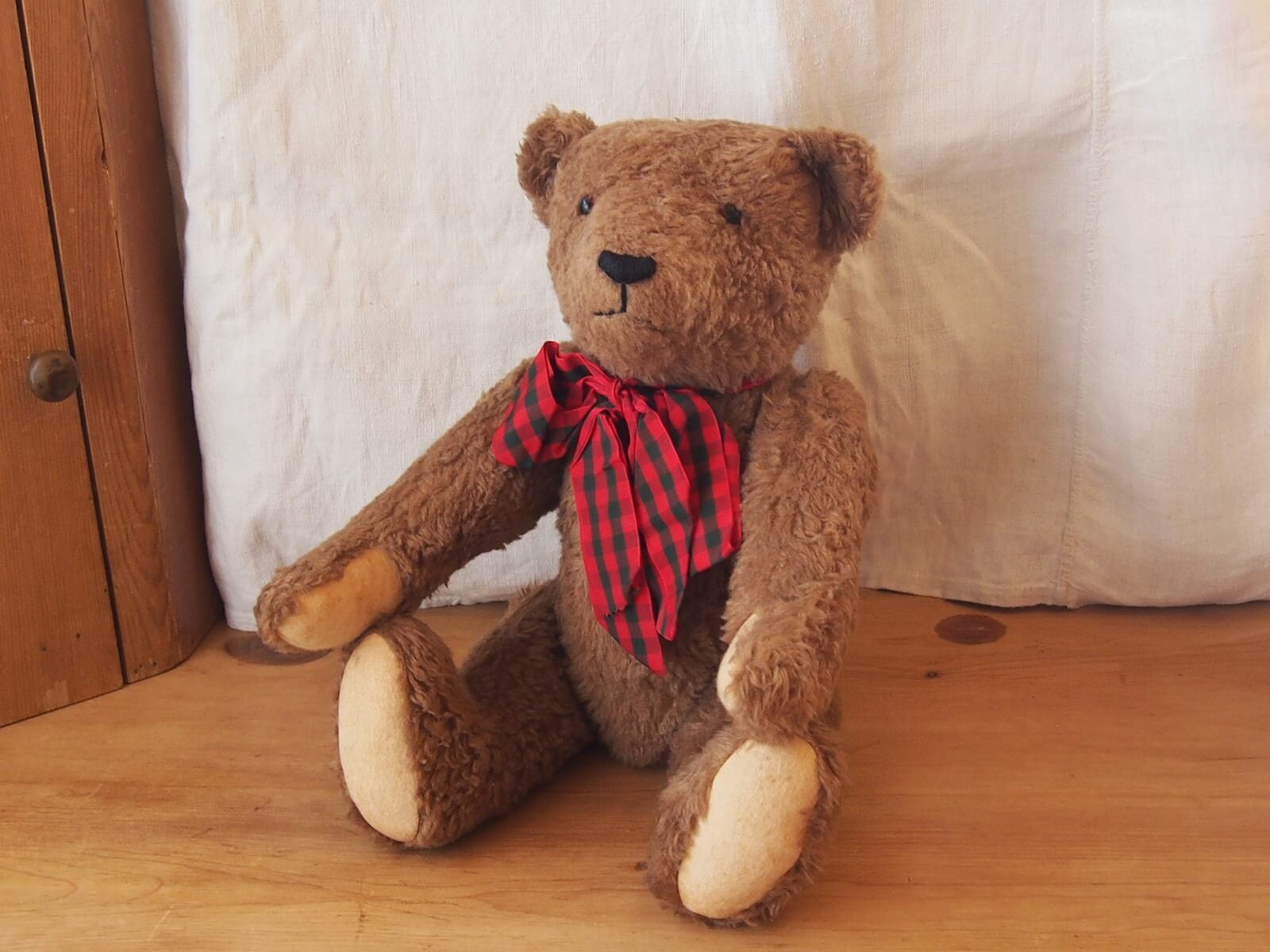 TOY & BEAR | Bonny Bee