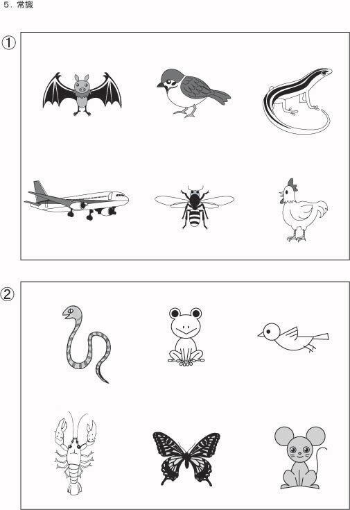 昭和学院小学校受験合格問題 第6集常識2027受験用 | kidscollege