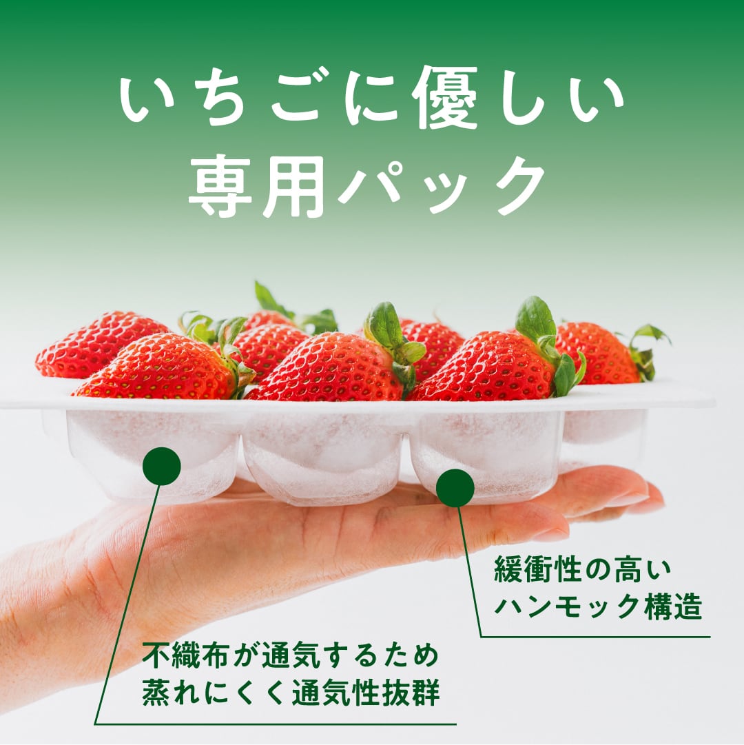 お歳暮/冬ギフト】雅乃苺 淡雪 440g(220g×2P) 熊本産 希少な白いちご