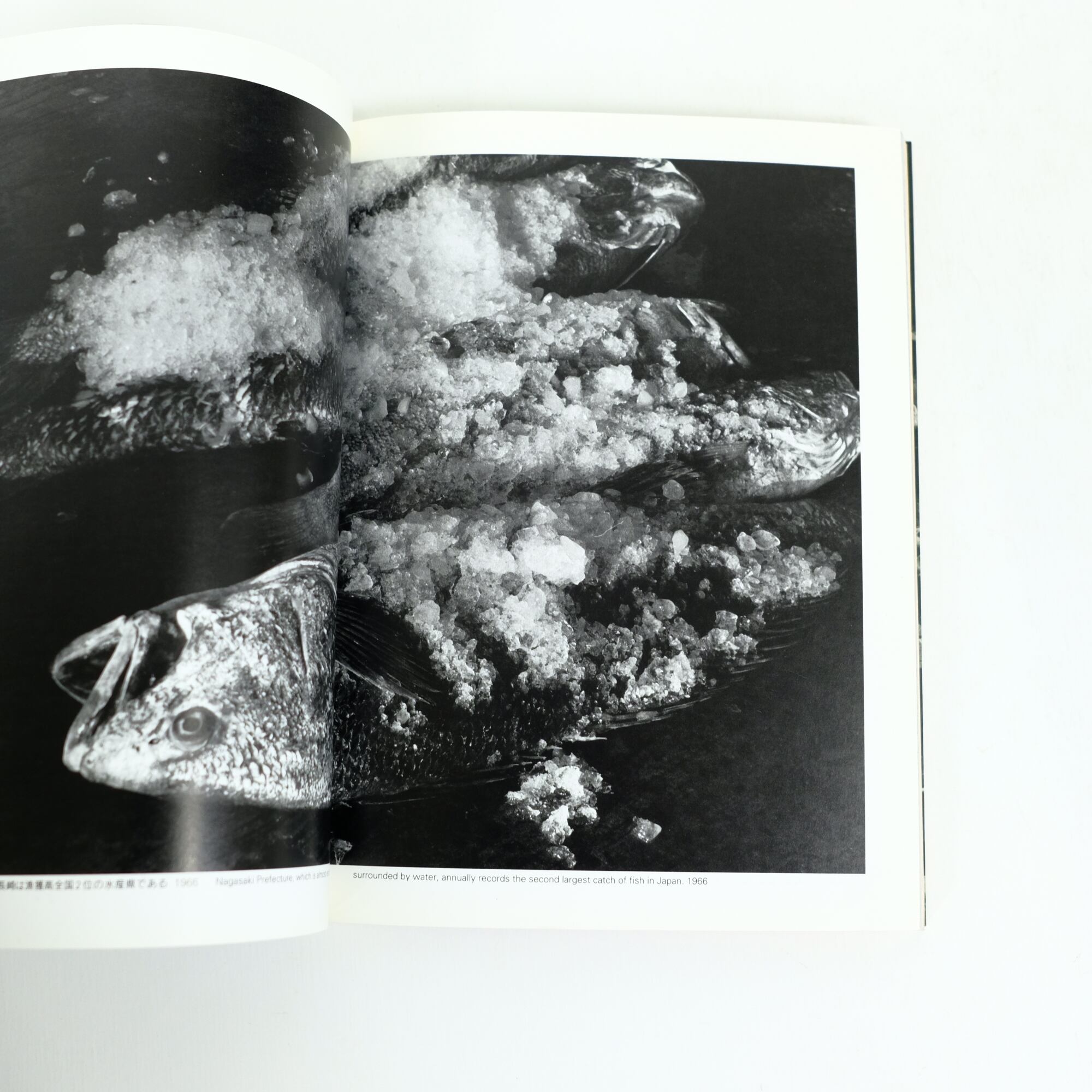 東松照明 長崎〈11:02〉1945年8月9日 初版 新潮社 写真集 古本