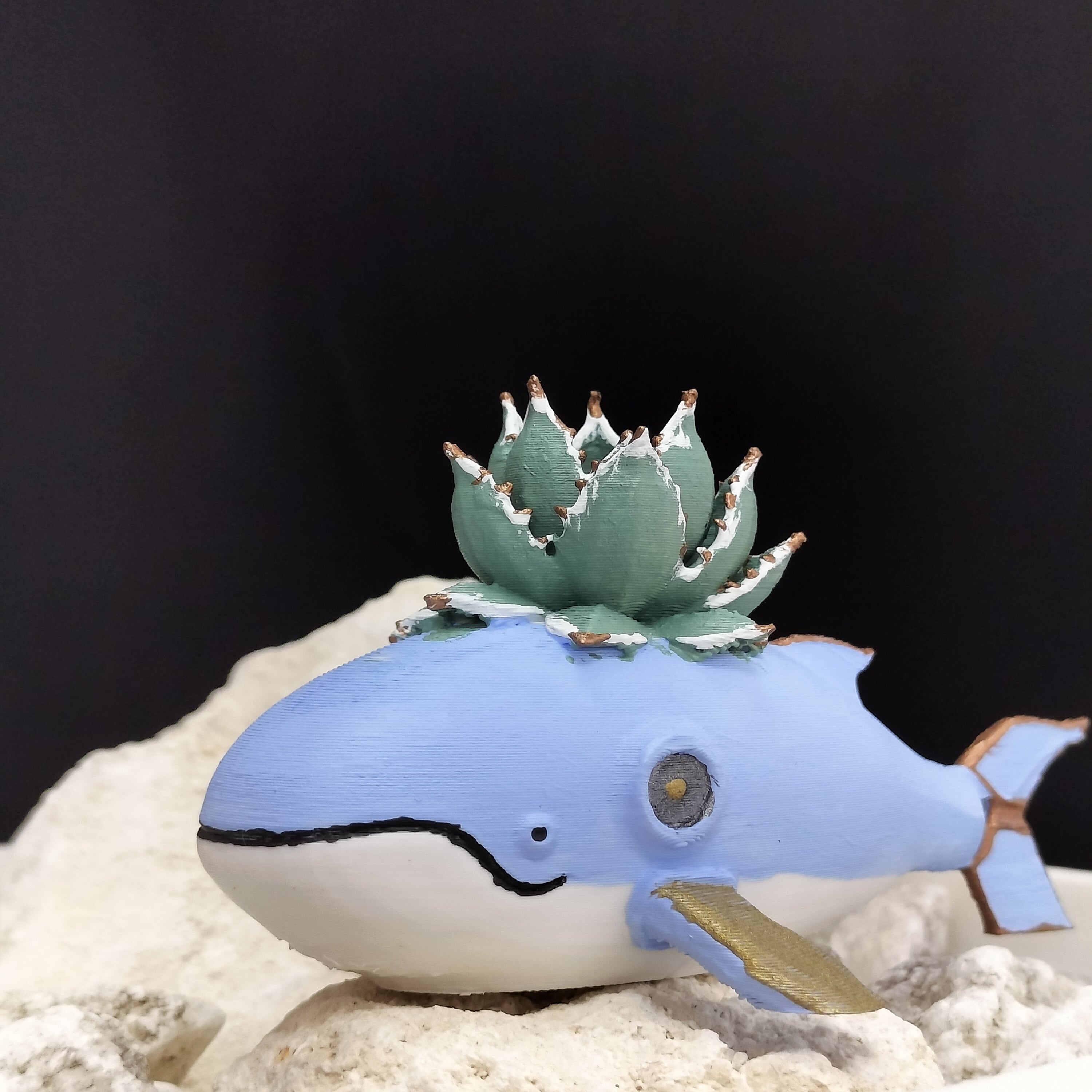 e77e732db12522ccdc400921b036c3