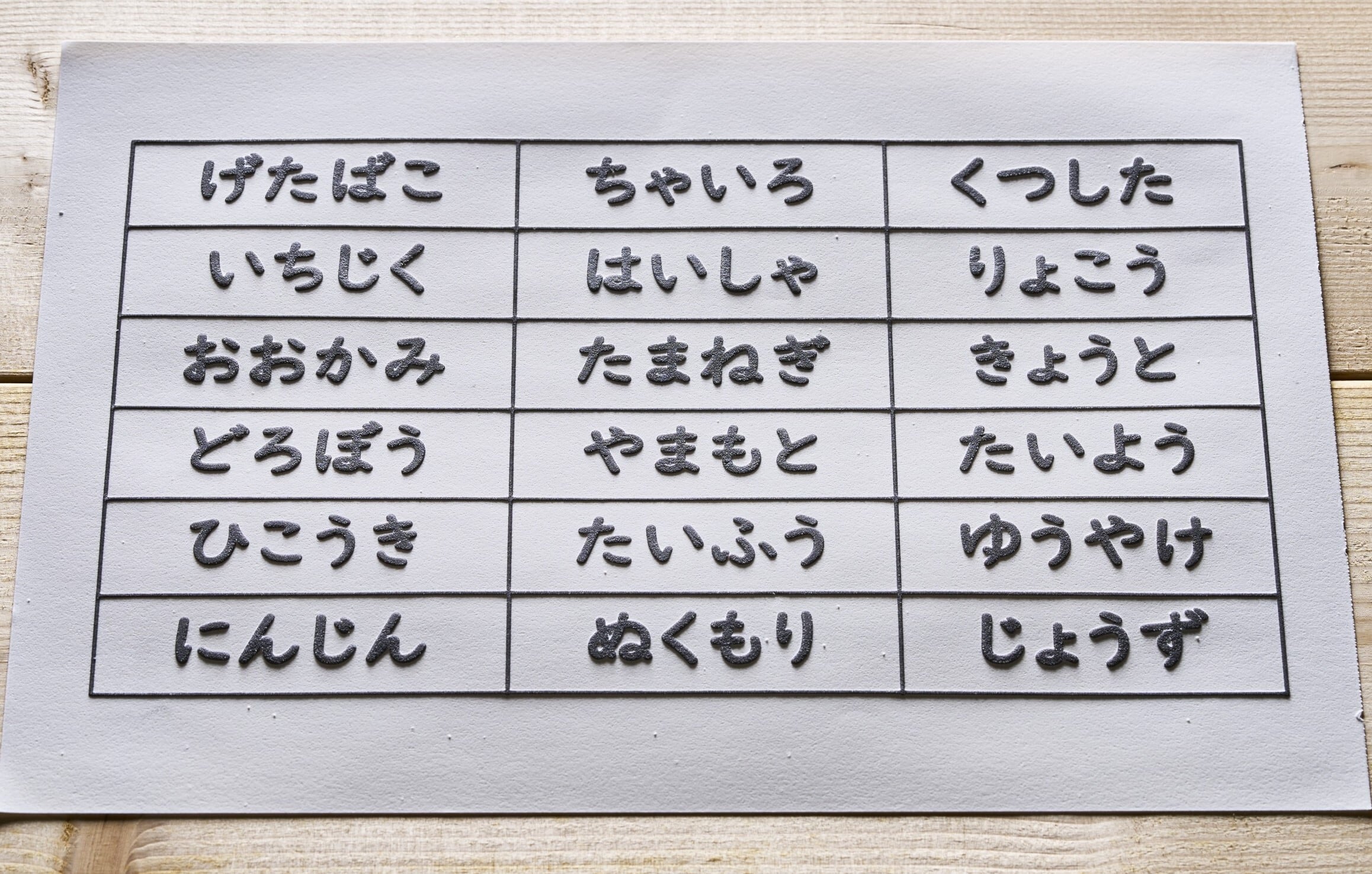 仮名と漢字と短文の触るグリフ（標準タイプ）：触読版22枚＋説明書＋