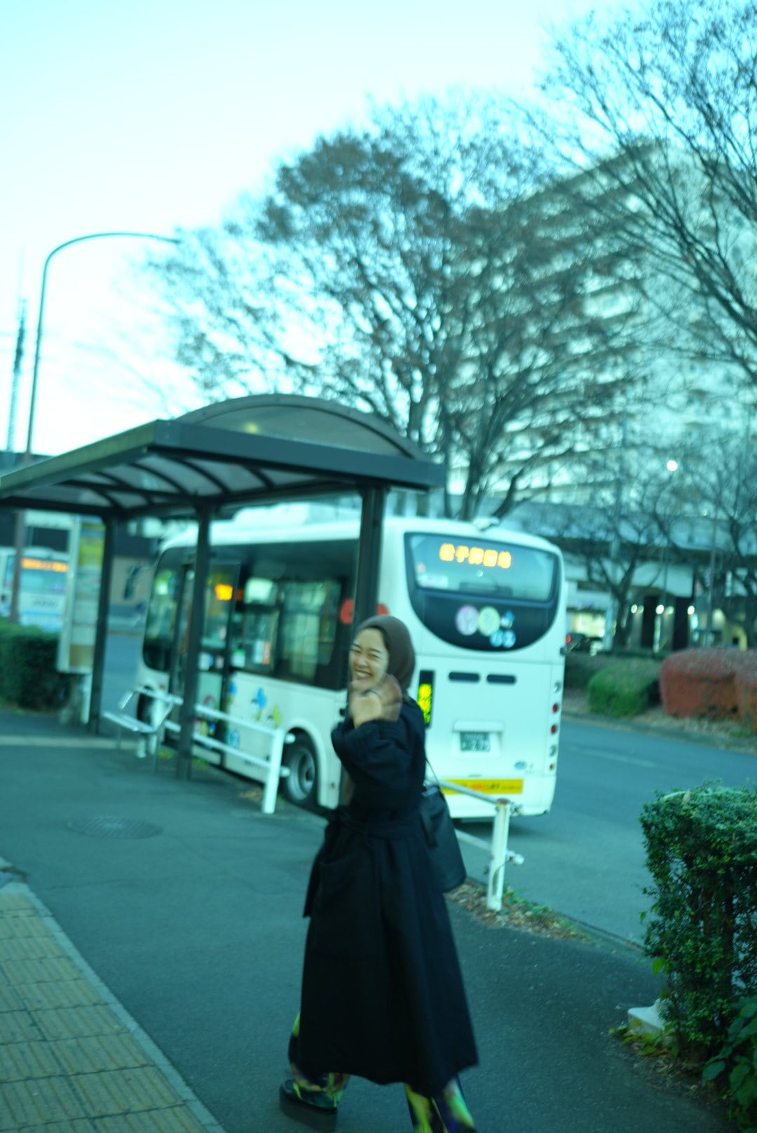 MOON TREE PLANET - ZUKIN brown | Pay ID