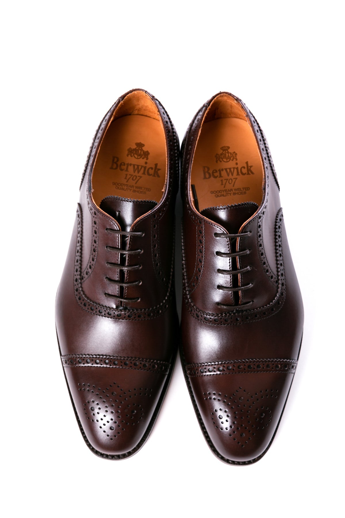 Berwick1707 | セミブローグ | 5231VELEDB – バーウィック オンライン