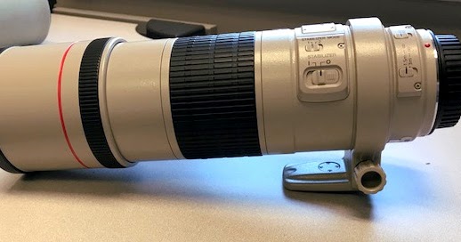Review: The Canon EF 300mm f4 L IS USM | Matt Cuda Nature