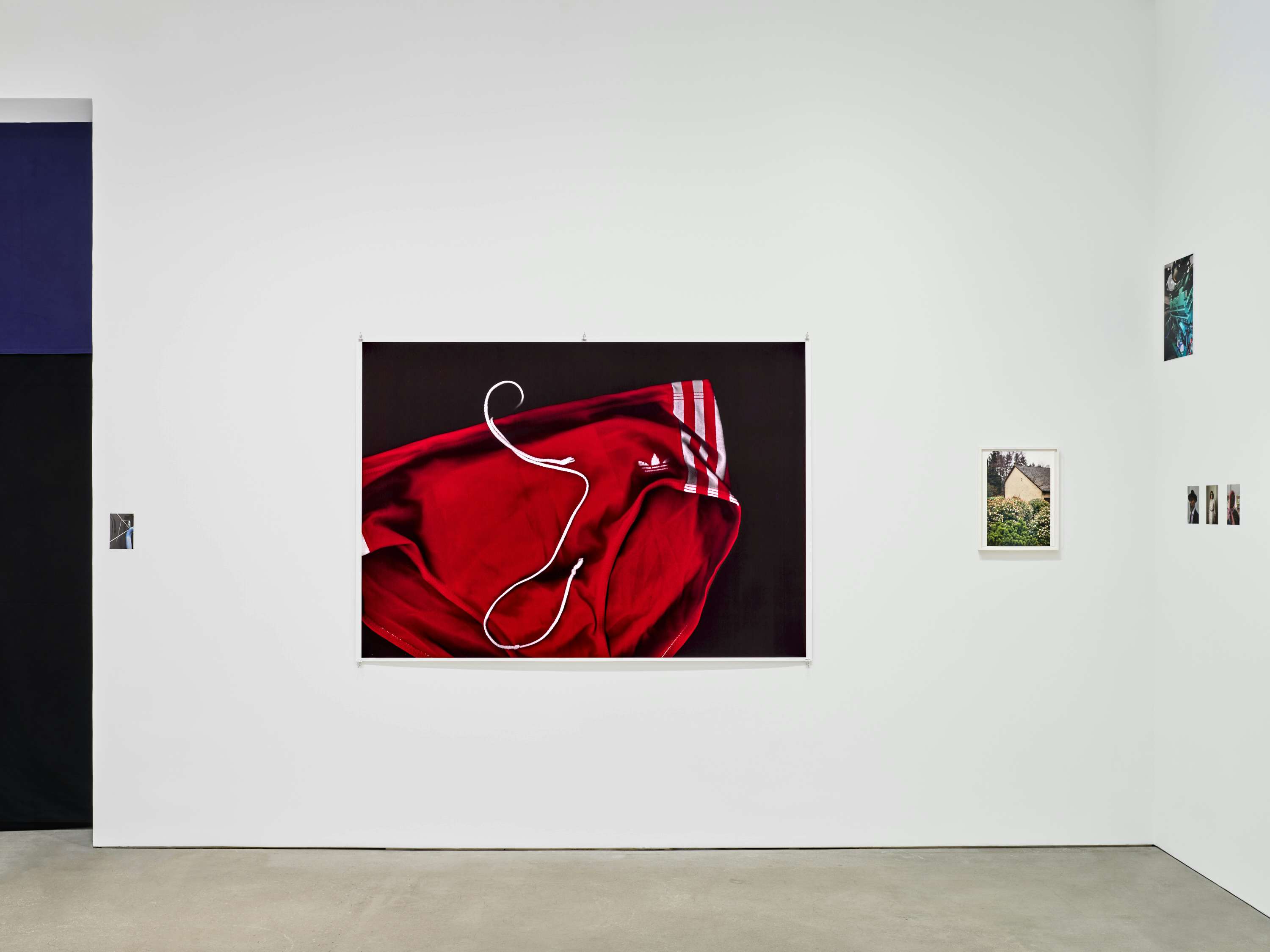 ヴォルフガング・ティルマンスの写真に見る物質性｜画像ギャラリー 2