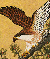 東京文化刺繍キット 鷹 モチーフ