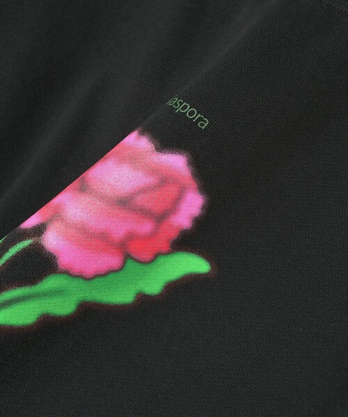 Diaspora Skateboards（ディアスポラスケートボーズ）の「Diaspora